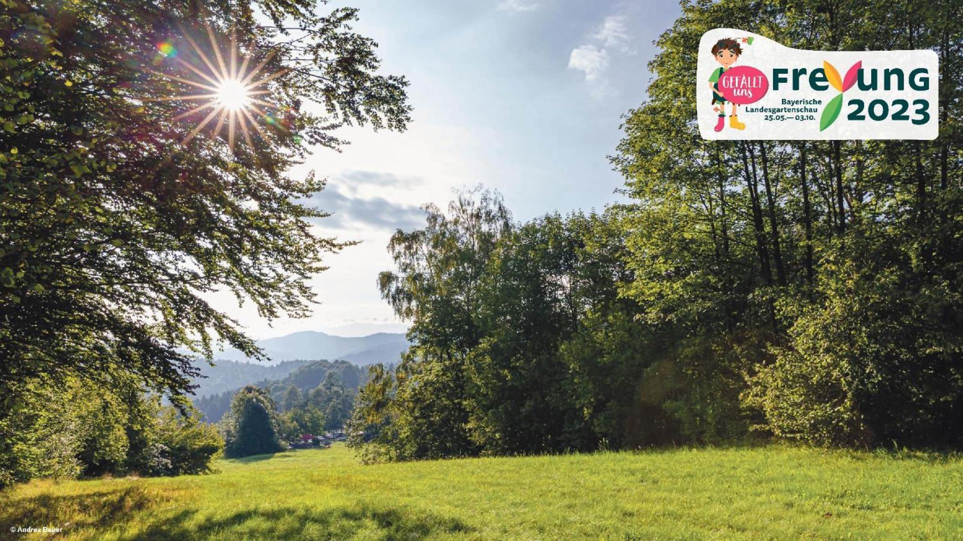 Ferienwohnungen Bayerischer Wald Mit Pool Freyung Exteriér fotografie